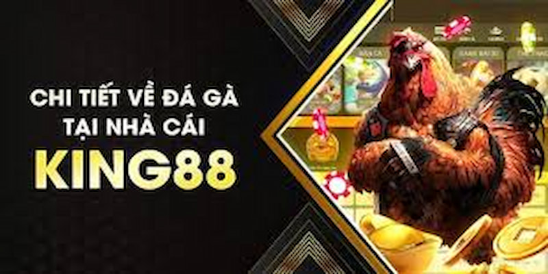 Đá gà King88